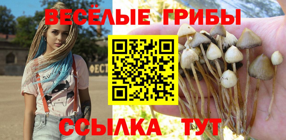 Альфа ПВП СК кристаллы  Топки  Вход с VPN  Мефедрон   Гашиш  Лсд 25  МАРИХУАНА  ГАШИШ  КОКАИН 