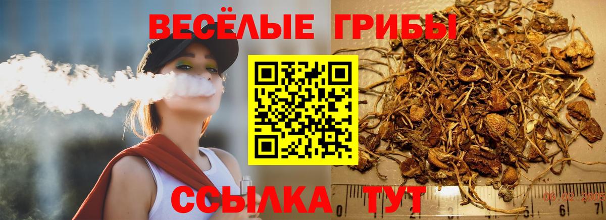 Топки  Псилоцибиновые грибы ЛСД  Вход с VPN 